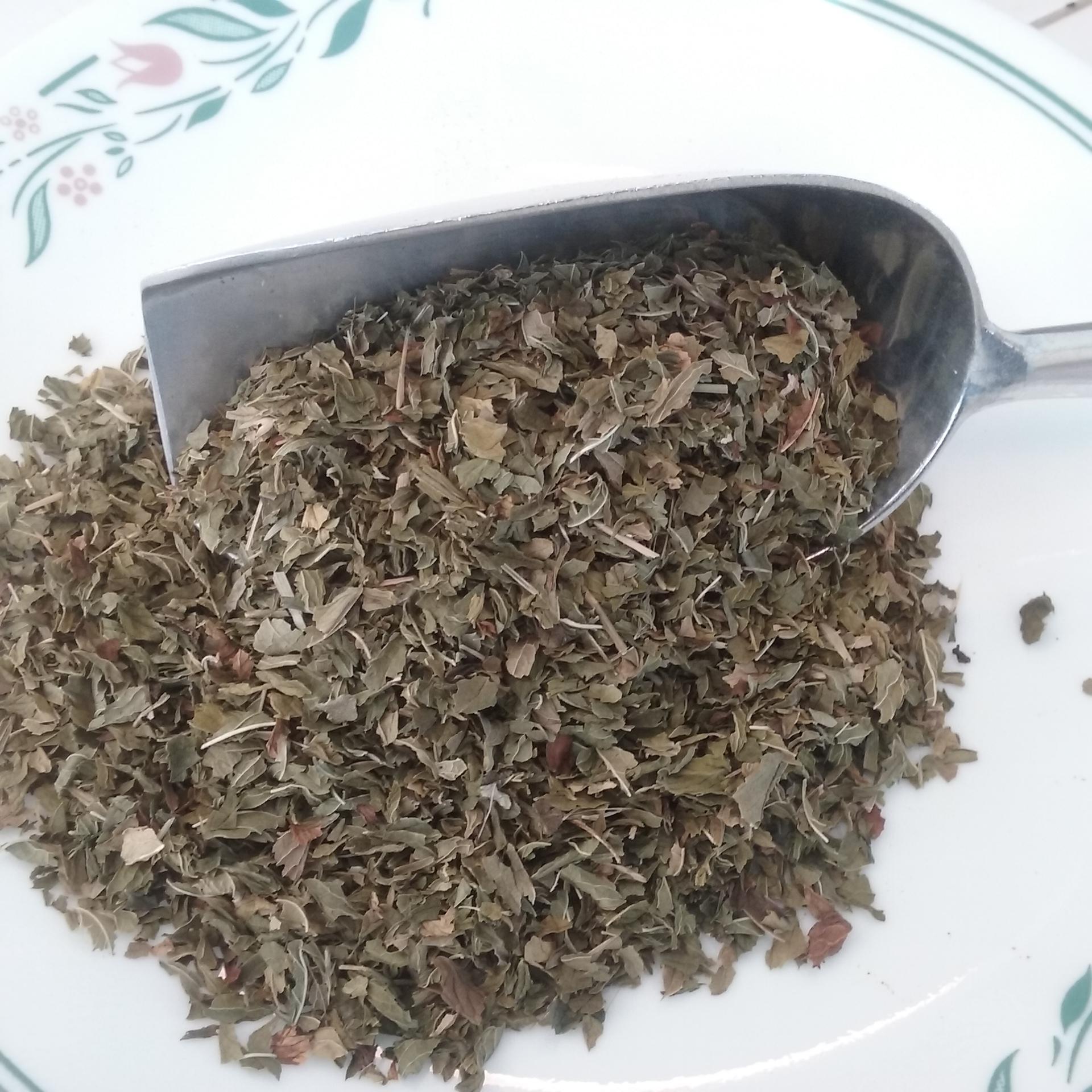 spearmint-leaf-tea-organic-local-house-of-health