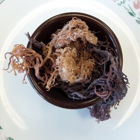 Island Sea Moss (Multi-colored)